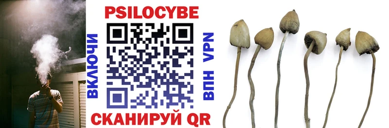 что такое   Каменск-Уральский  Галлюциногенные грибы Cubensis 