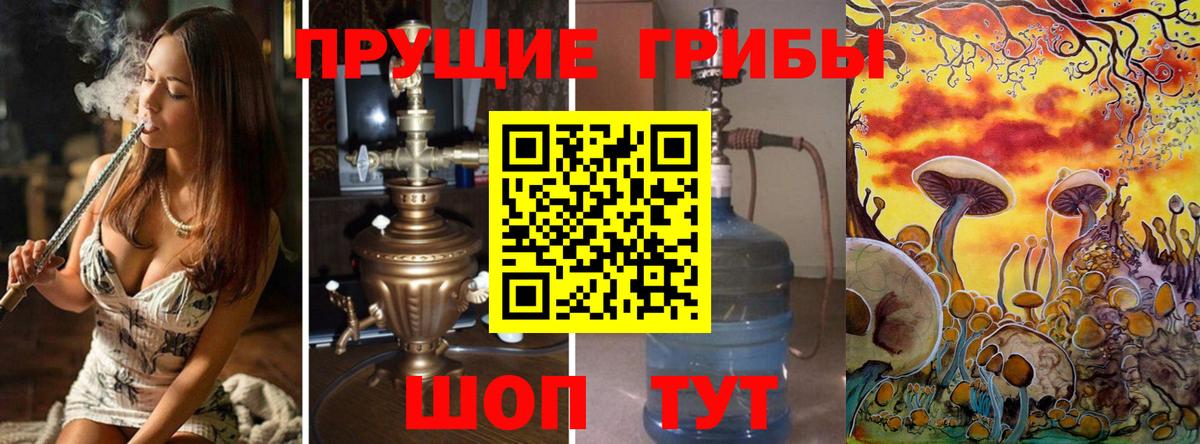 Псилоцибиновые грибы Cubensis Каменск-Уральский
