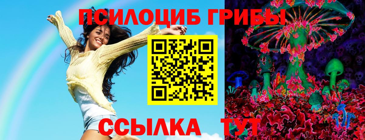 Галлюциногенные грибы мицелий  Псилоцибиновые грибы Psilocybe  Вход с VPN  Каменск-Уральский 
