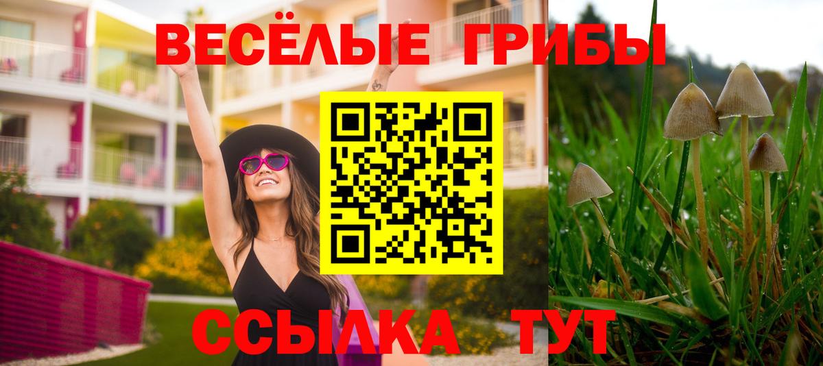 А ПВП Каменск-Уральский